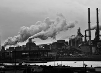 harmful effects of smog