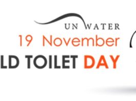 Hello! It’s Nature Calling world toilet day - Daily Bees