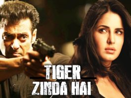 tiger zinda hai movie review daily bees
