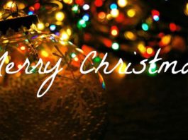 merry Christmas daily bees