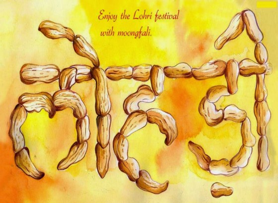 enjoy the lohri festival - Daily Bees