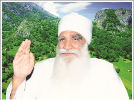 Divine Power on Earth Daily Bees