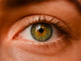 eye donation for future vision daily bees