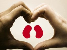 Save a Life by Donating Kidney Daily Bees