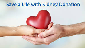 save a life by donating kidney daily bees