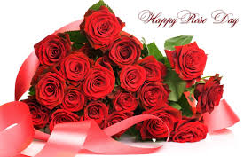 happy rose day daily bees