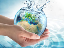 World Water Day Daily Bees