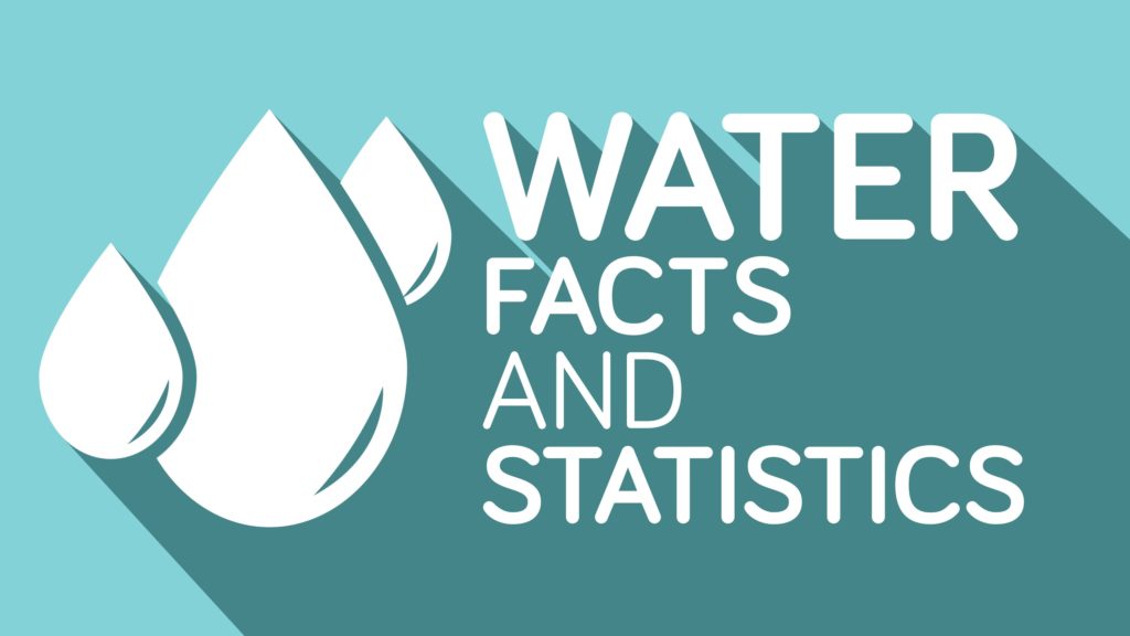 facts and statistics about water daily bees