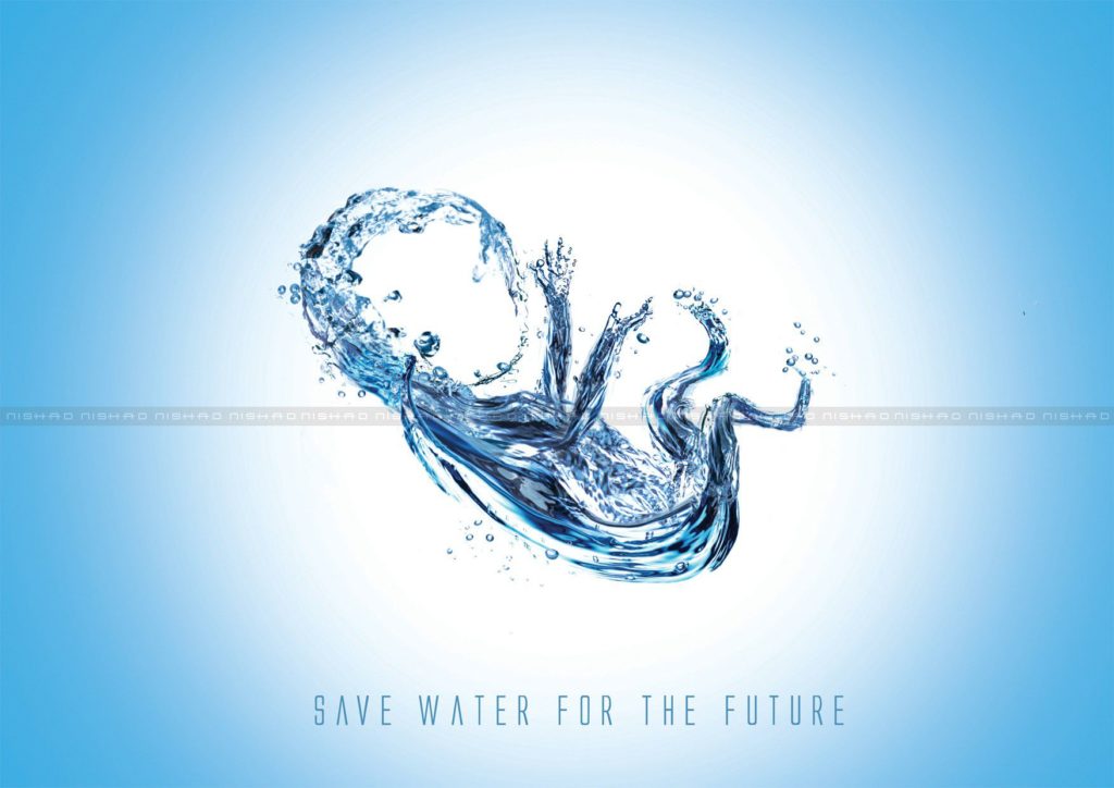 save water for the future daily bees