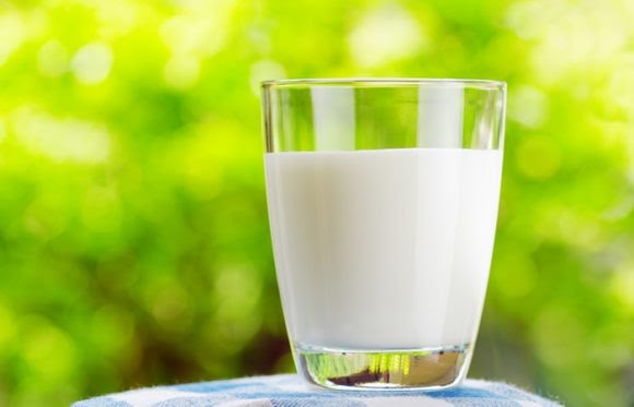 benefits of cow milk Daily Bees