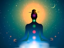 meditation - it all starts within - Daily Bees
