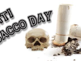 Anti Tobacco Day Daily Bees