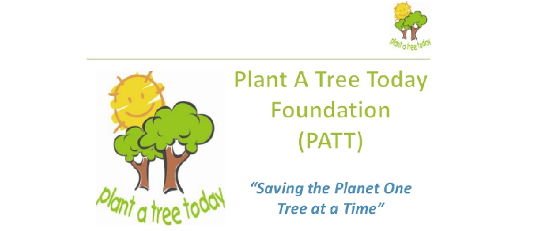 plant a tree today foundation Daily Bees