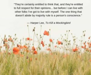 to kill a mockingbird book review daily bees