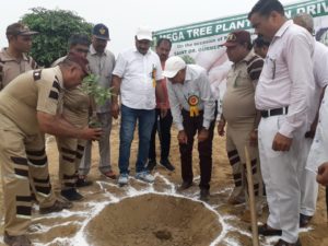Mega Tree Plantation Campaign by Baba Ram Rahim Ji Followers