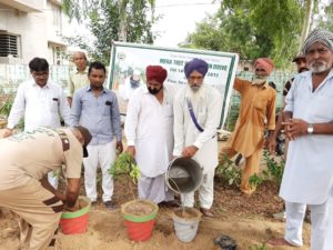 Mega Tree Plantation Campaign Worldwide by Baba Ram Rahim supporters