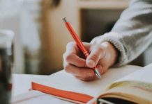 Exam Tips for Class 12 Students - Daily Bees