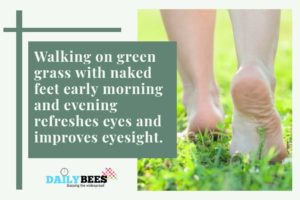 walking on grass with naked foot improves eyesight - daily bees