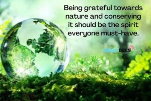 world nature conservation day poster - Daily Bees