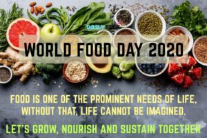World Food Day - Donate Food to Save Lives - Daily Bees