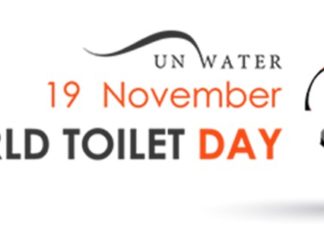 world toilet day - Daily Bees