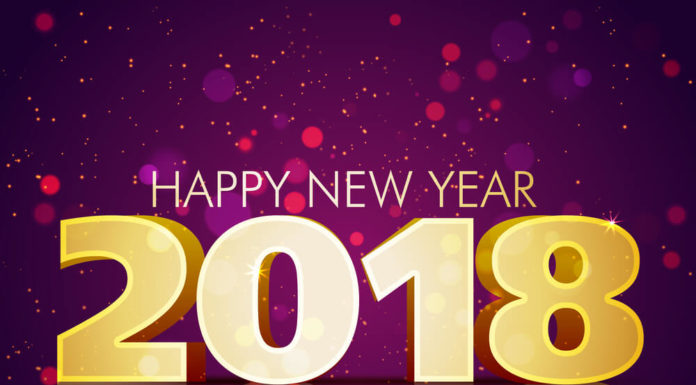 Give A Big Cheers to New Year…! Happy New Year 2018 Daily Bees