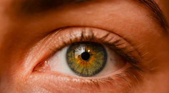 Eye Donation: Passing The Vision On! eye donation for future vision daily bees