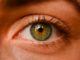 Eye Donation: Passing The Vision On! eye donation for future vision daily bees