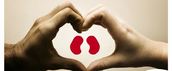 Kidney Donation – Donate a Kidney, Save a Life! Save a Life by Donating Kidney Daily Bees