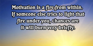 motivational quotes daily bees
