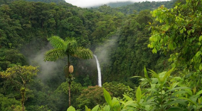 Travel, Explore & Live: Top 10 Tourist Destinations top 10 places to visit in the world daily bees