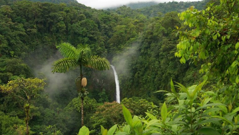 Travel, Explore & Live: Top 10 Tourist Destinations