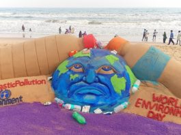 World Environment Day Daily Bees