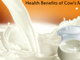 World Milk Day Daily Bees