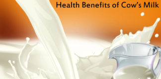 World Milk Day Daily Bees