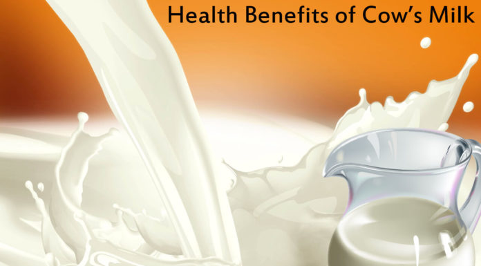 On this World Milk Day, Let Us Know The Health Benefits of Cow Milk! World Milk Day Daily Bees