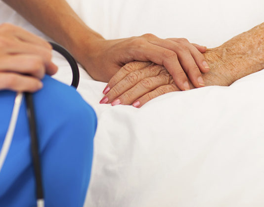 Happy Doctor's Day Daily Bees