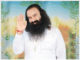 August Special: The Guiding Light for Millions Saint MSG is a guiding light for millions Daily Bees