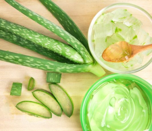 6 Amazing benefits of Aloe Vera for your skin Daily News | Daily Bees