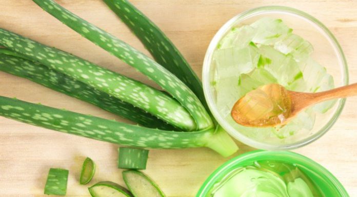 6 Amazing benefits of Aloe Vera for your skin Daily News | Daily Bees