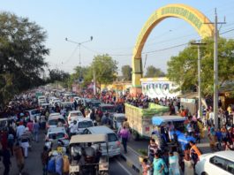 life changing experience Daily Bees