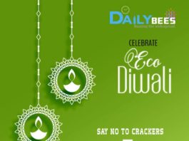 Eco friendly diwali celebration ideas daily bees