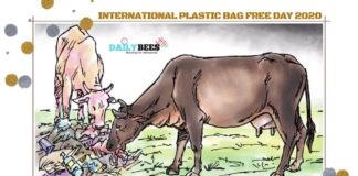 Plastic Bag Free Day - Daily Bees