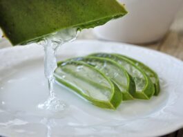 aloevera