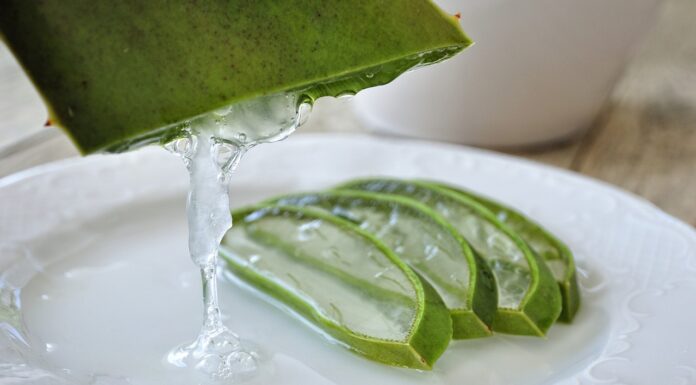 10 amazing uses and health benefits of aloe vera aloevera