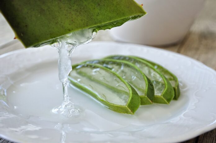 aloe vera aloevera