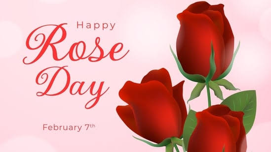 Rose Day 2023: 6 ways to celebrate Rose Days with Your Loved ones