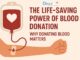 The Life-Saving Power of Blood Donation: Why Donating Blood Matters? The Life-Saving Power of Blood Donation: Why Donating Blood Matters