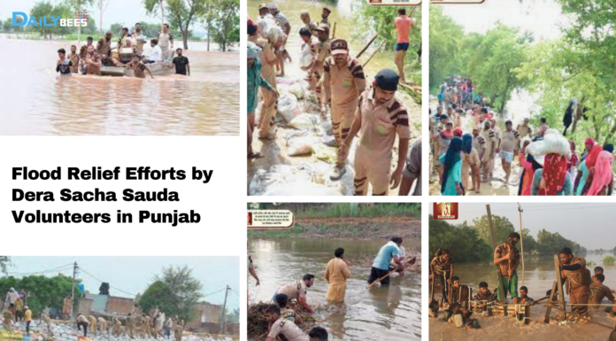 Dera Heroes in Action: Flood Relief Heroes of Punjab Dera Heroes in Action: Flood Relief Heroes of Punjab