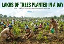 Lakhs of Trees Planted in a Day: Dera Sacha Sauda’s Global Plantation Drive Makes Headlines Dera Sacha Sauda tree plantation